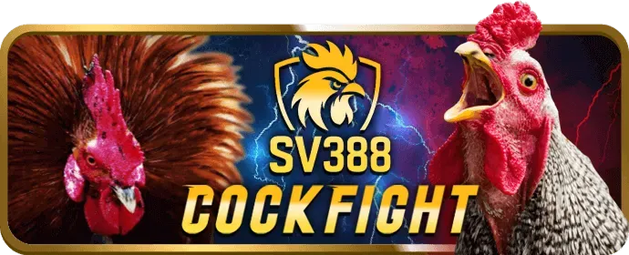 Bước 4 Bắt Đầu Săn Thưởng v99 web